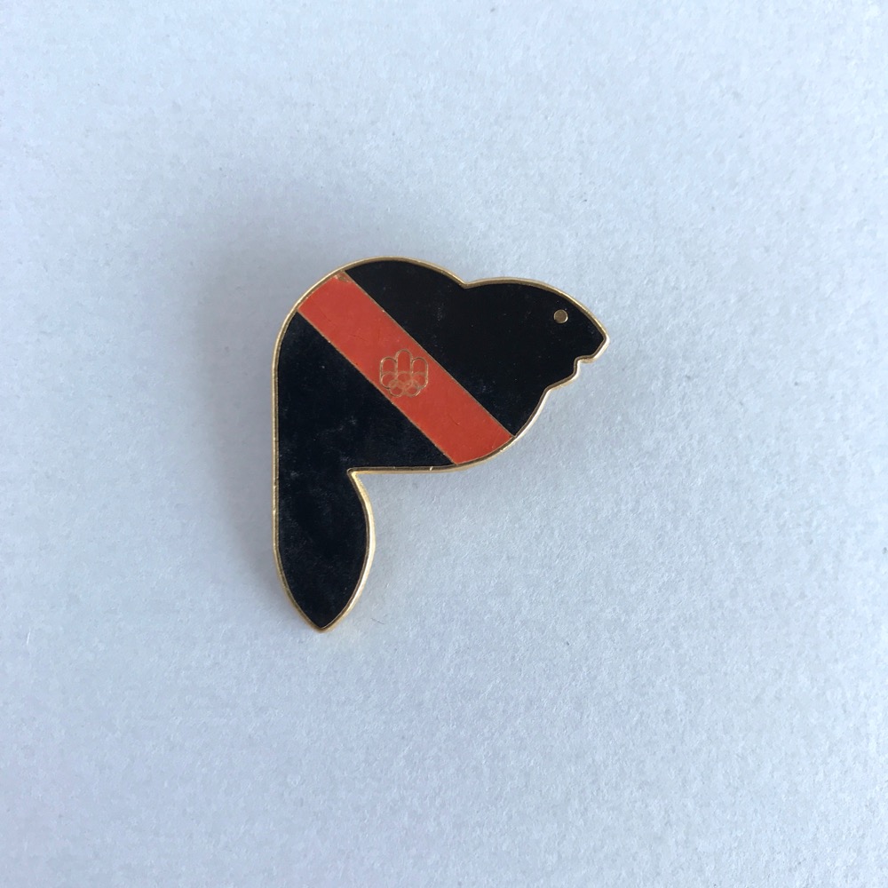 Amik pin