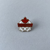 Candidate city pin